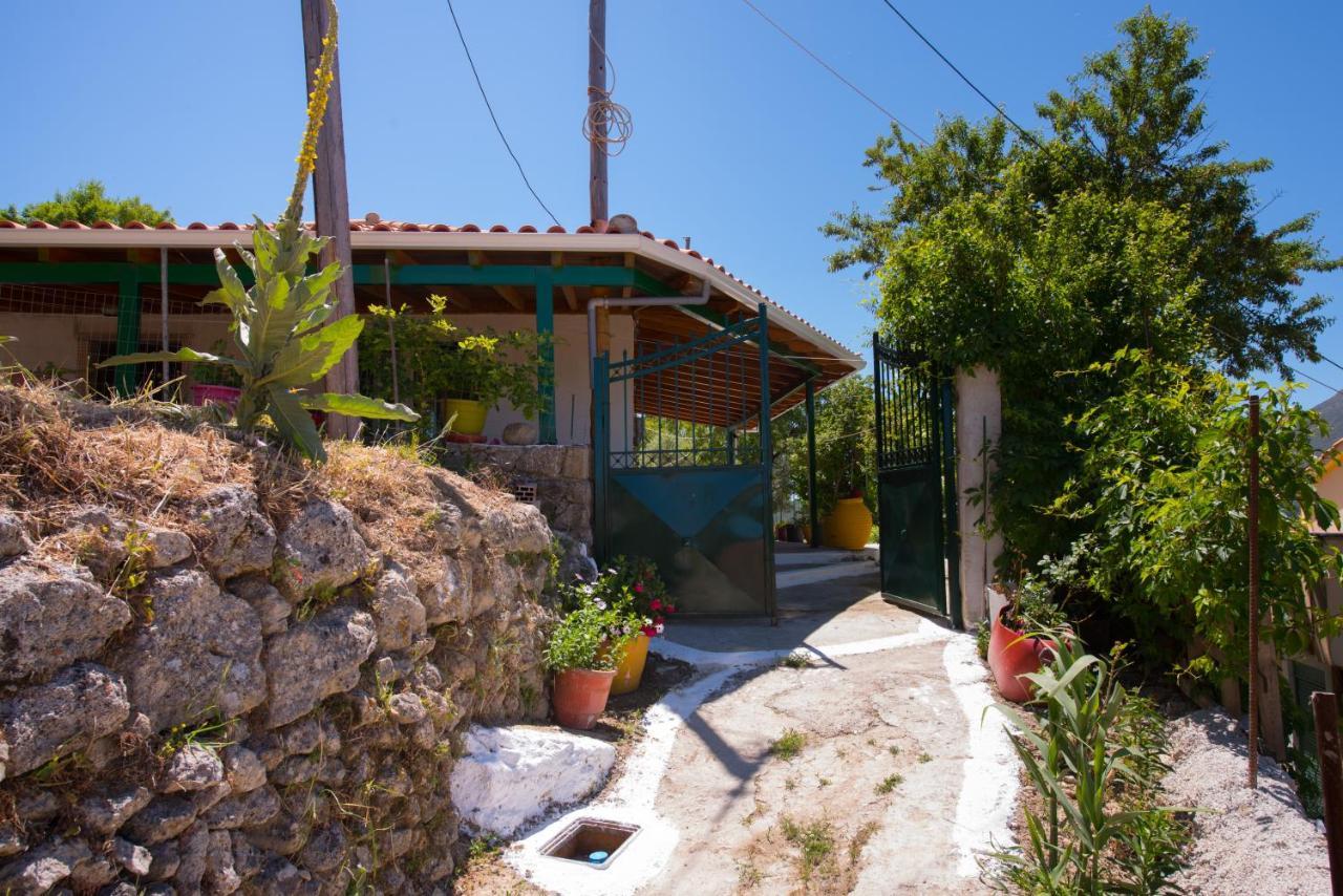 Traditional Houses In The Village Lazarata Bagian luar foto