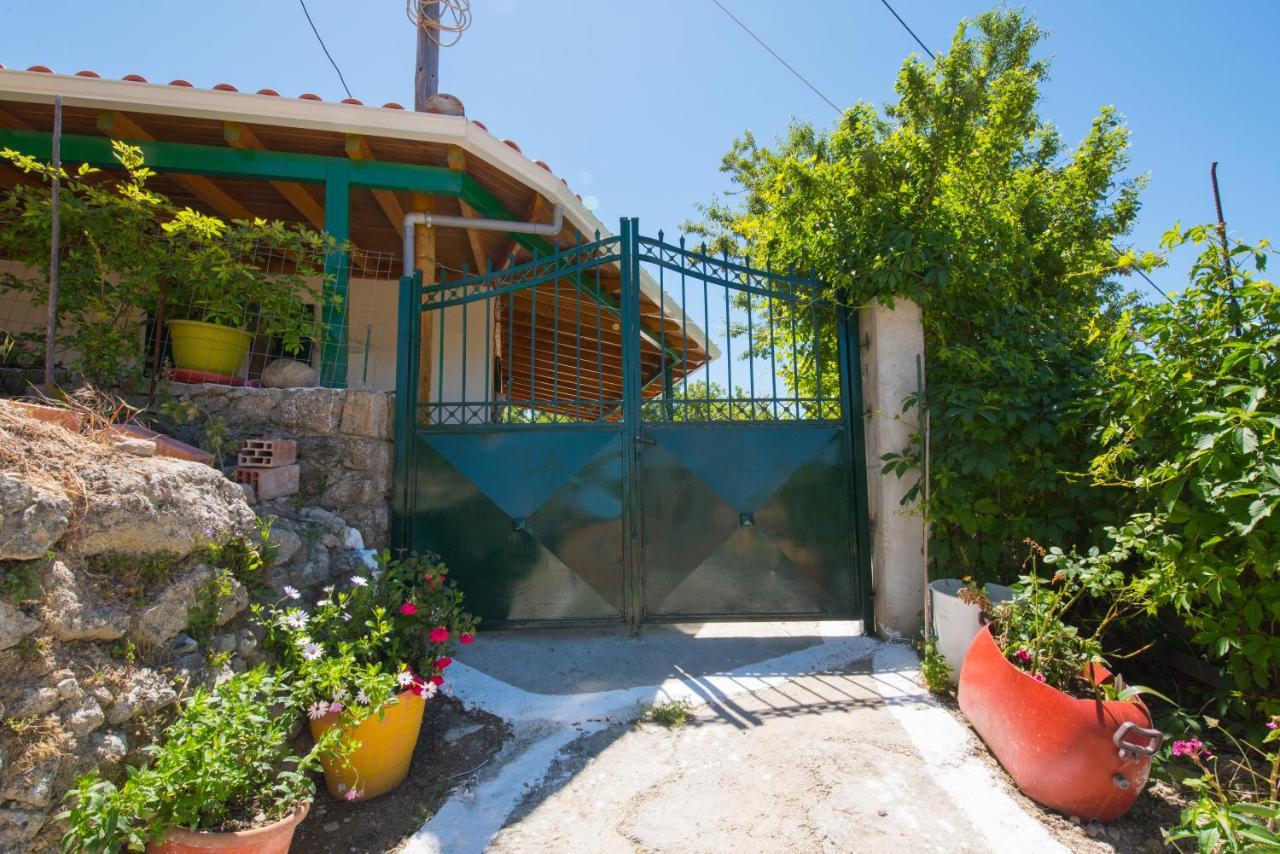 Traditional Houses In The Village Lazarata Bagian luar foto